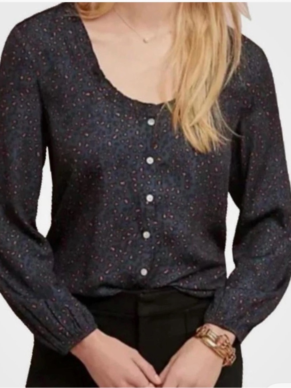 Anthropologie DOLAN Blue Leopard Print Long Sleeve Button Front Blouse! Medium